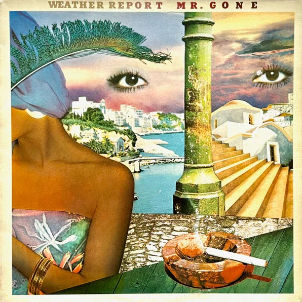 Cover of Mr. Gone