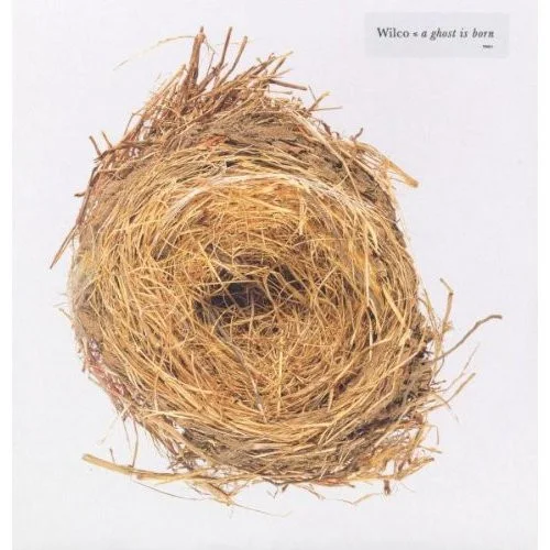 Cover of A Ghost Is Born