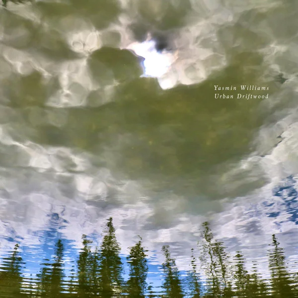 Cover of Urban Driftwood