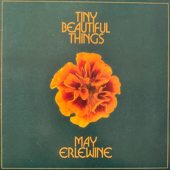 Cover of Tiny Beautiful Things
